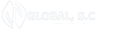 GLOBAL, S.C Seguridad y Comunicaciones